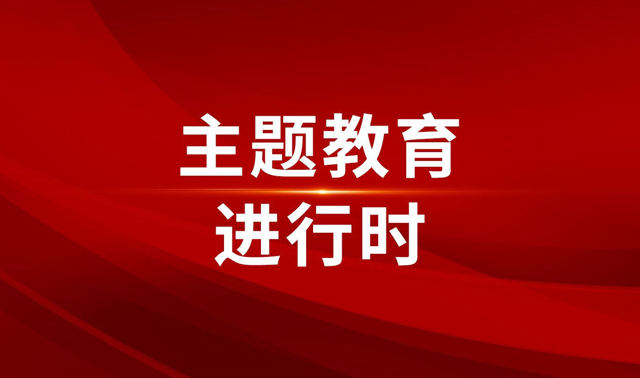 主题教育进行时 | 菠菜导航网聚焦“一号发展工程”以调查研究深入推进数字化建设