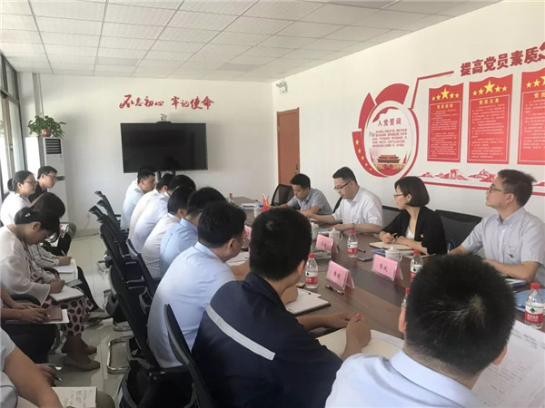 集团党委委员、副总经理杨强民一行赴菠菜导航担保网-信誉菠菜导航网-菠菜导航网新材料开展“不忘初心、 牢记使命”主题教育蹲点调研